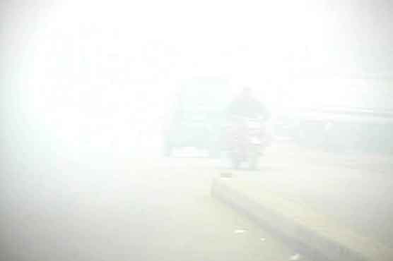 Five students among 7 die in fog-related accidents