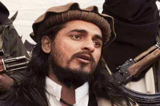 TTP refuses to surrender, ready for talks