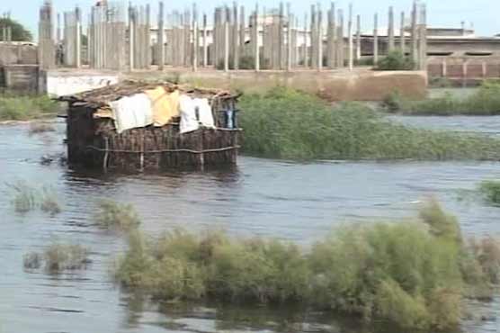 Govt writes off mill owners loans instead of farmers