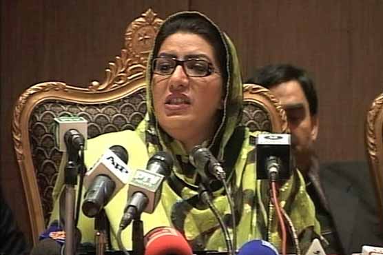 No comprise on country's sovereignty: Firdous