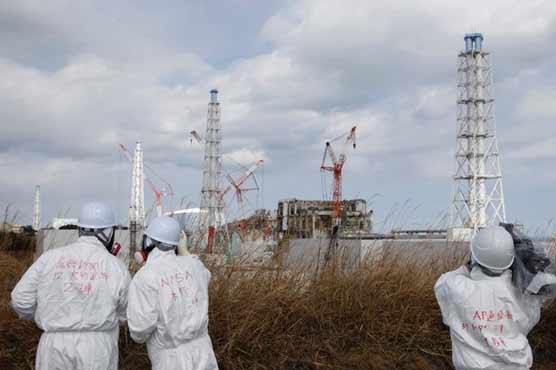Radiation from disaster detected off Japan's coast