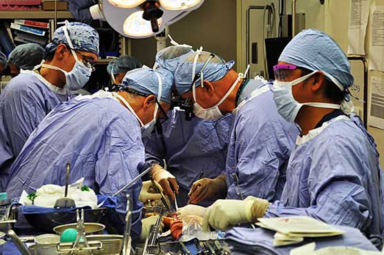 Doctors perform quadruple limb transplant in Turkey