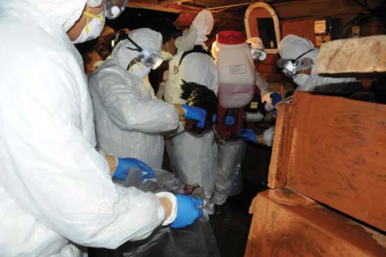 Boy dies of bird flu on Bali island