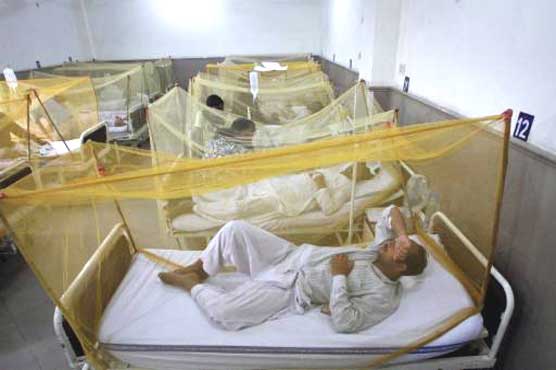 82 suspected dengue cases reported in Punjab