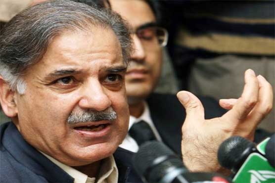 CM Punjab vows to deal with Dengue
