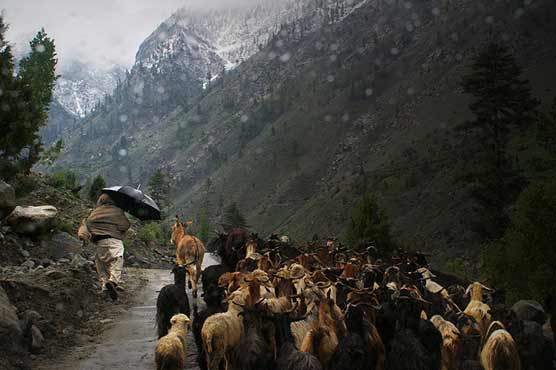 Lowest temp minus-13 recorded in Skardu