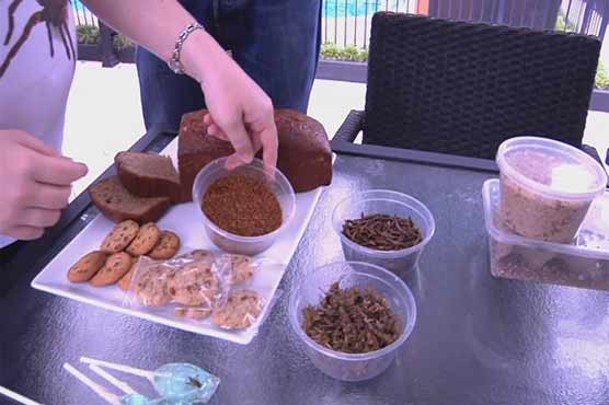 Creepy crawly cuisine