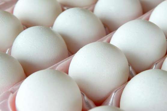 Calories, not protein, matter most for fat gain