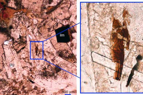 Moon mineral found on Earth