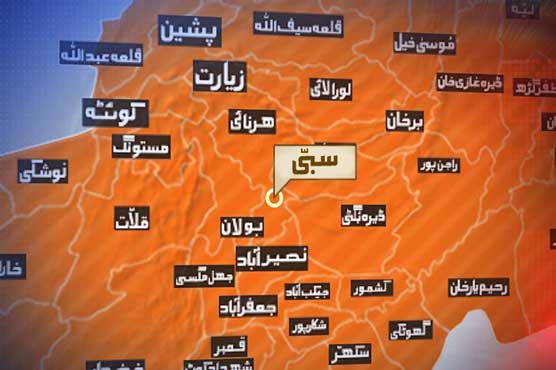 WAPDA employee shot dead in Sibbi