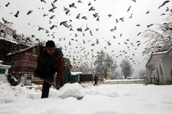 India: Heavy snowfall attracts tourists