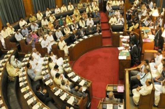 SA passes resolution for democracy, trust on leadership