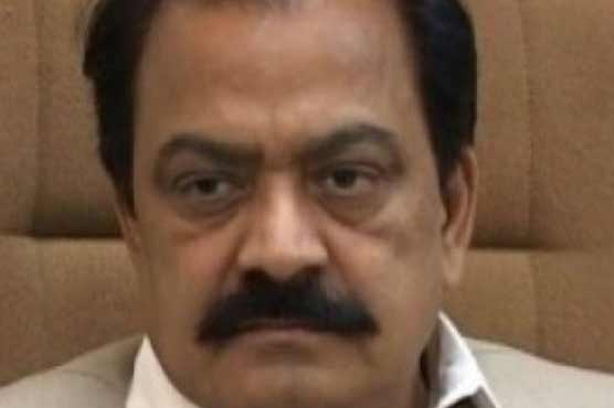 Babar responsible for disgrace on PPP: Sana 