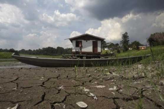 Amazon Basin shifting to carbon emitter: study