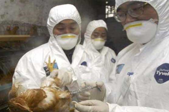 Bird flu researchers agree to 60-day halt