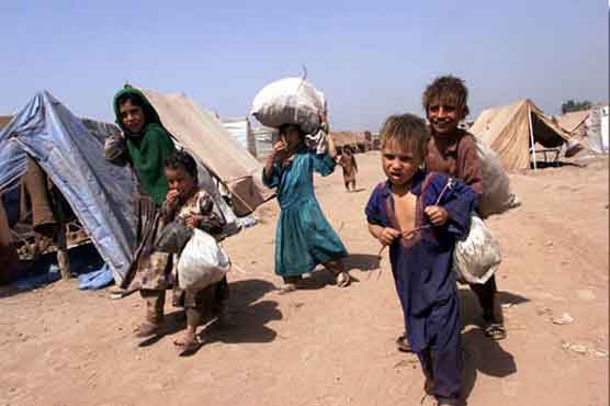 Afghan asylum bids hit 10-year high