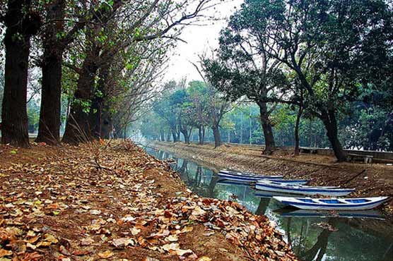 Dry, cold weather predicted for next 24-hours