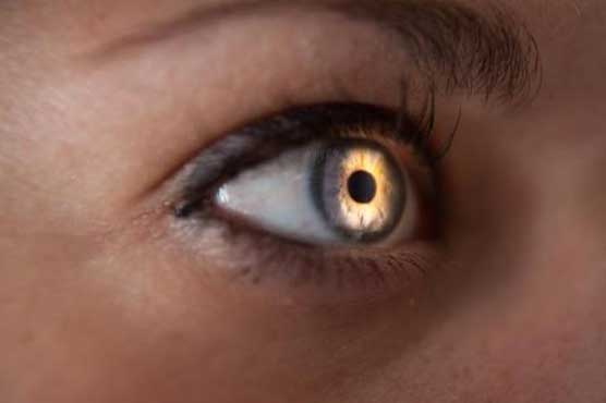 Study: Stem cells may aid vision in blind people