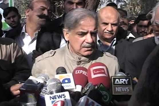 'Killer drugs' claimed nearly 100 lives, confirms CM