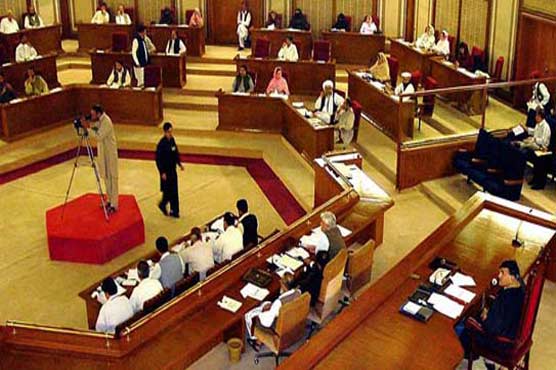  BA passes pro-President, PM resolution