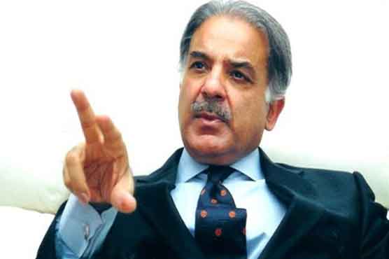 CM Shahbaz's multi-ministerial portfolio challenged