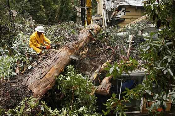 14 killed in Indonesia storm