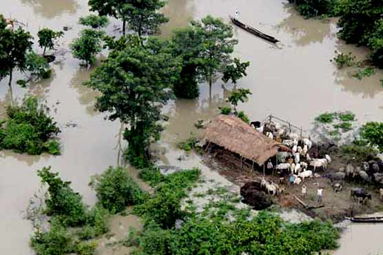 Northeast India floods claim 79 lives 