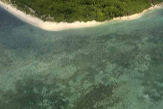 China lukewarm to ASEAN proposal for S China Sea