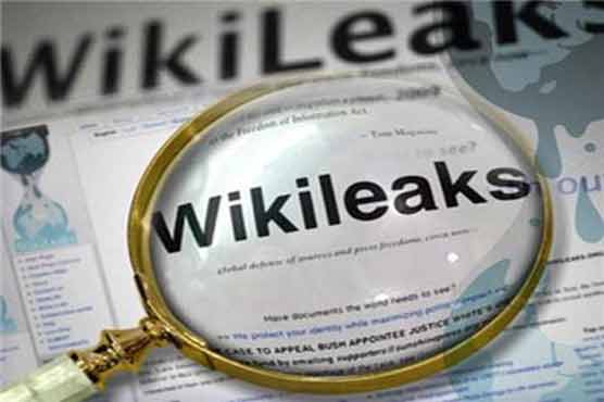 WikiLeaks claims new funding channel in France 