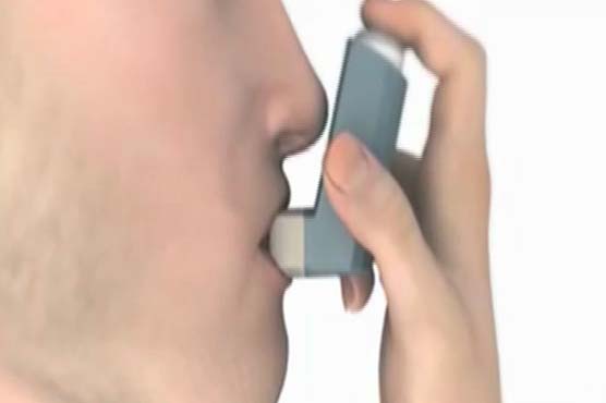 Older people with asthma run greater risks: study