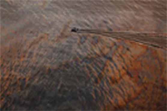 BP missed important safety issues: CSB