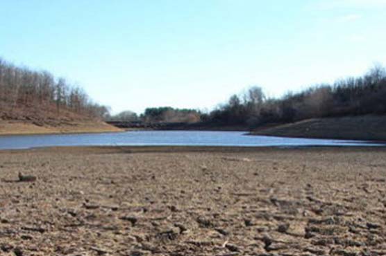 US says drought will push up food prices in 2013