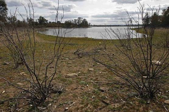 US Midwest struggles amid worst drought in 50 years