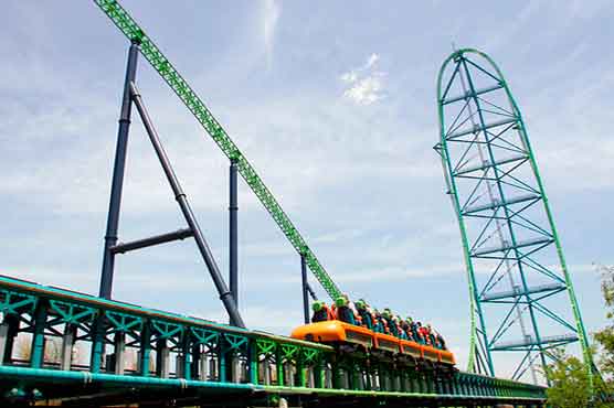 Boy hit by bird on NJ roller coaster