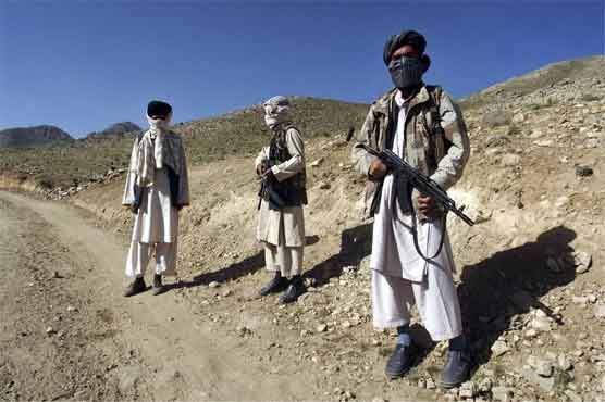 Taliban overjoyed over opening of NATO supply 