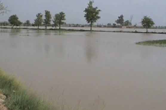 Dehrki: Agricultural land inundates after canal breach 