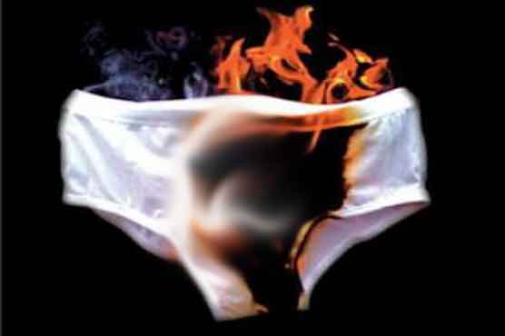 Brazil burns mystery panties found in Congress