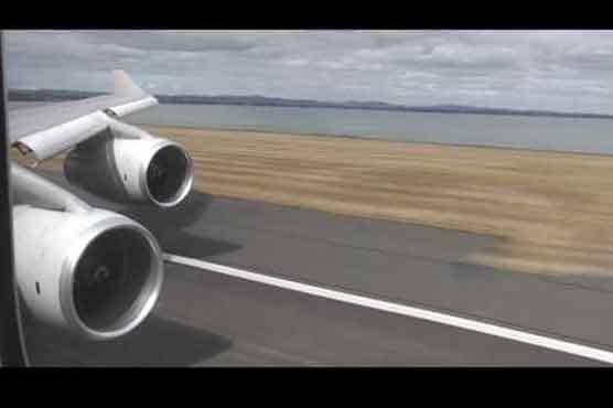 Aircrafts hit birds, kangaroos, even turtles in Australia