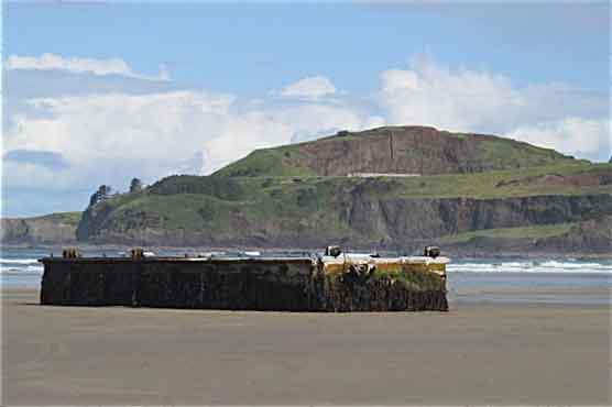 Huge Japan Tsunami dock washes up on US beach