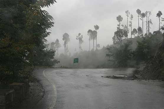 Rain expected in several parts during next 24 hours