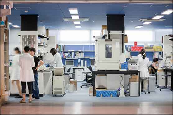 Japan team creates liver from stem cells