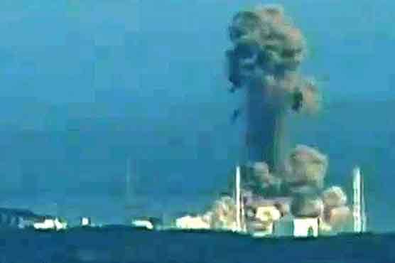 Govt meddling added to Japan nuclear crisis: panel 