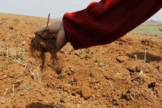 Drought hits key food province in N.Korea