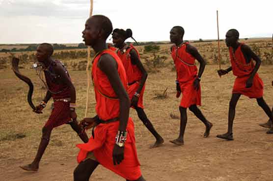  Human-animal conflicts grow in Kenya