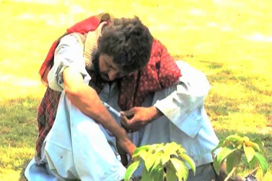 Intl Anti-Narcotics Day is being observed today