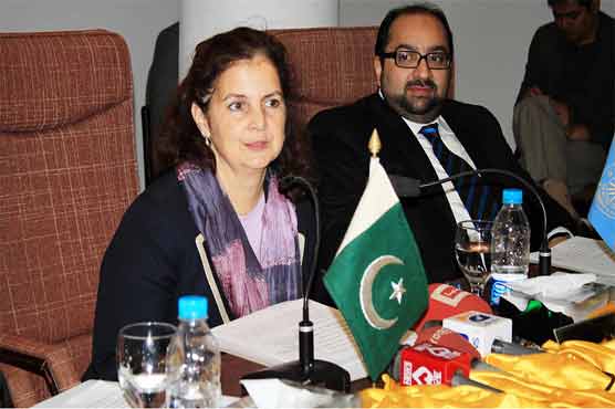 US assisting Pakistan in energy sector: Consul General