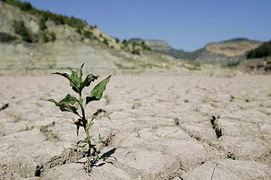 Spain wilts in driest winters for 70 years 