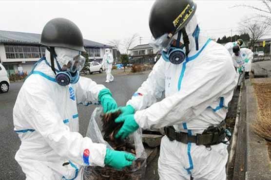 Japan's radiation cleanup is trial and error