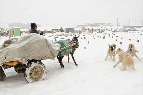 Avalanche buries village in northeast Afghanistan