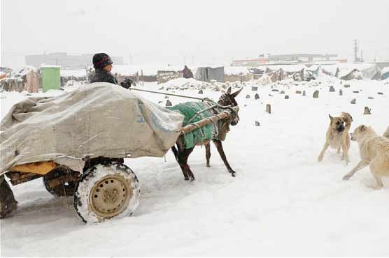 47 dead in Afghanistan avalanche